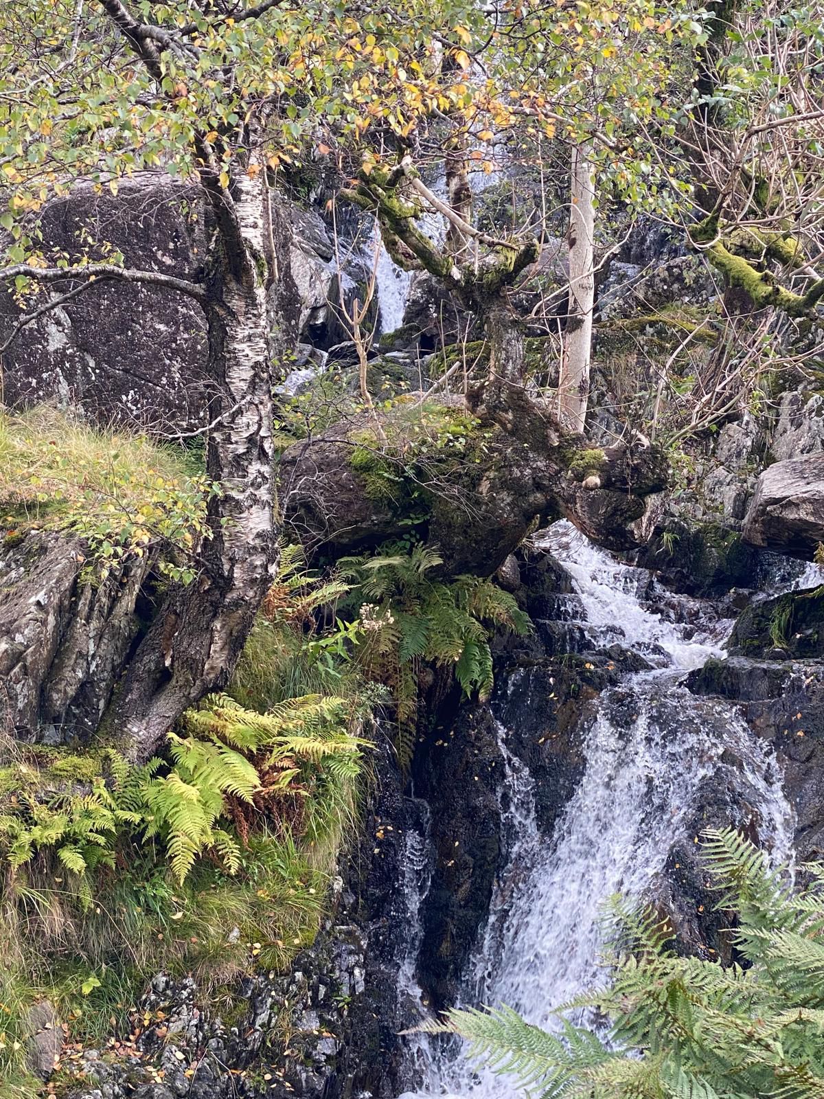 Waterfall